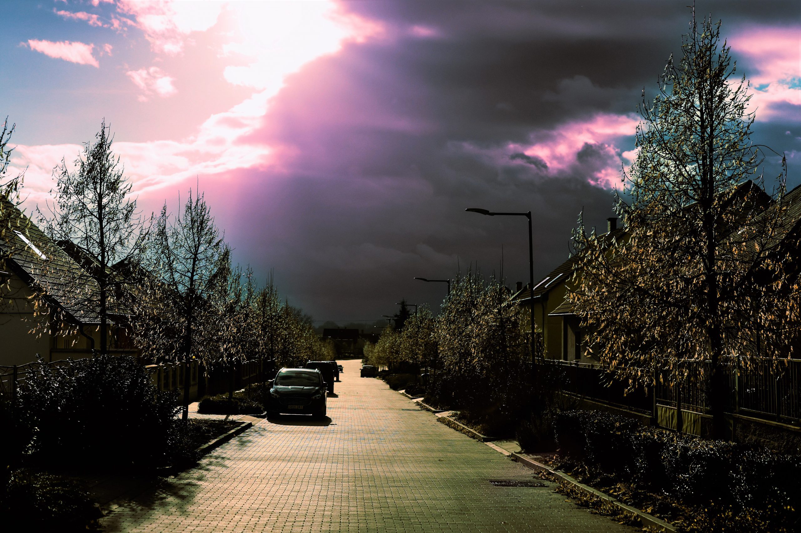7O9A5875 (2)