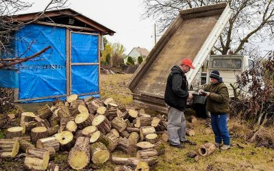 Szociális csoport: tűzifa támogatás a helyi önkormányzattól is